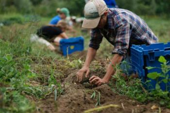 Leggi tutto: Lavoratori agricoli - dal 31 marzo 2023 pubblicazione degli elenchi annuali per il 2022