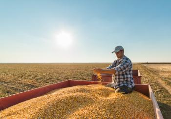 Patronati - tracciati domande di disoccupazione e ANF per Lavoratori Agricoli