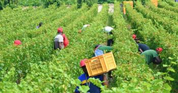 Agricoli - comunicazione individuale per variazioni giornate lavorative