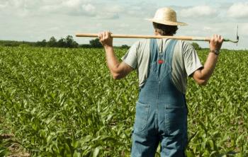 Lavoratori agricoli - dal 12 ottobre consultabile online il secondo elenco di variazione 2020