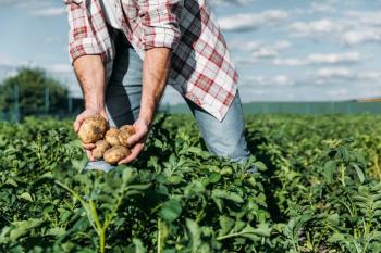 Leggi tutto: Differimento termine domande di esonero contributi imprese agrituristiche