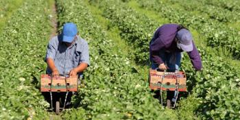 Leggi tutto: Disoccupazione agricola - indennita' per l'anno 2021