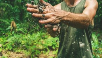 Versamenti volontari settore agricolo anno 2021